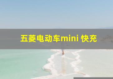 五菱电动车mini 快充